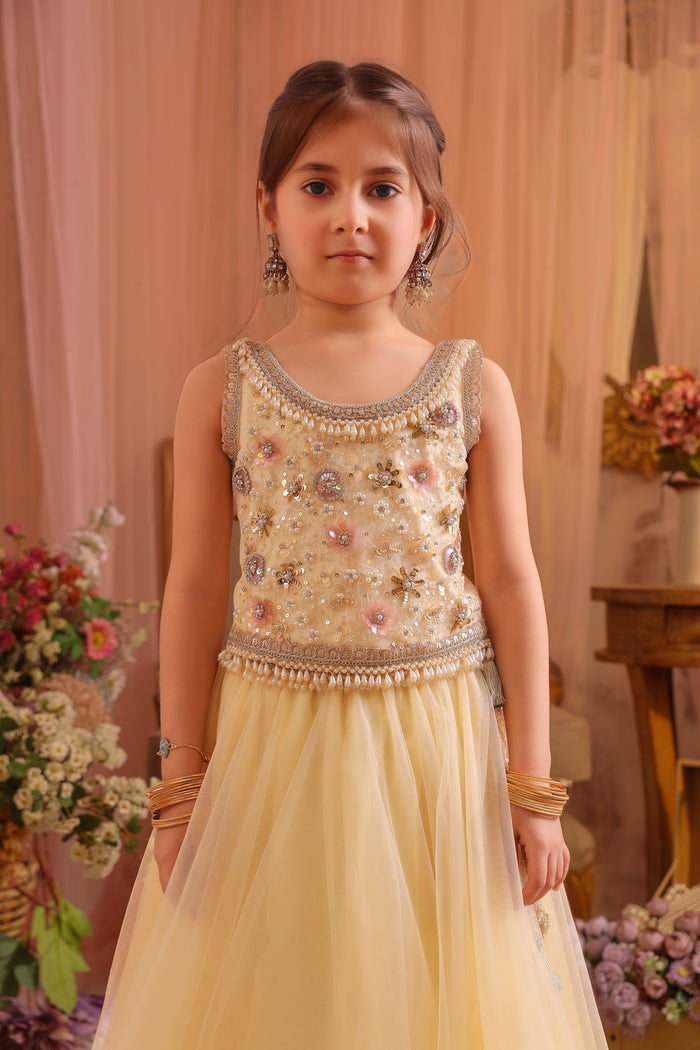 Aafreen Rules the Hour Lehenga Set