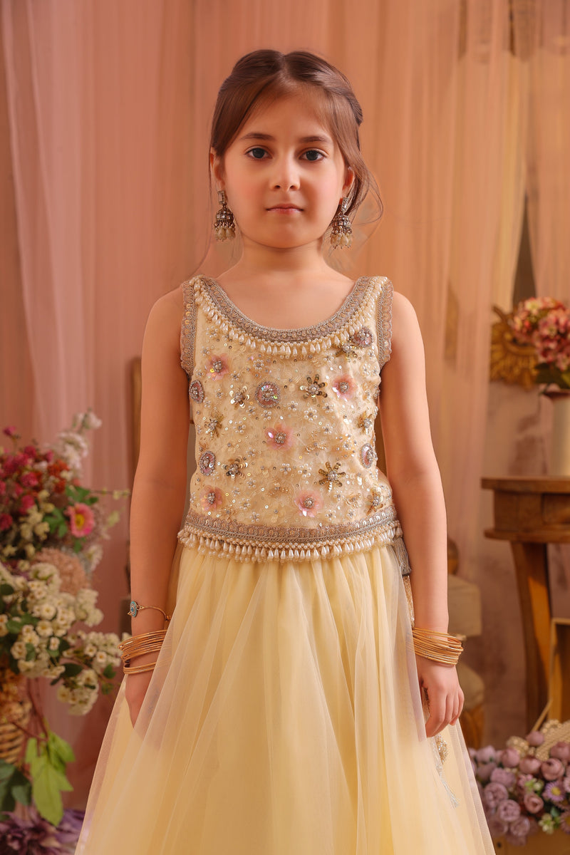 Aafreen Rules the Hour Lehenga Set