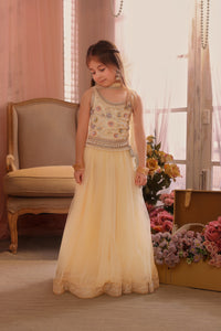 Aafreen Rules the Hour Lehenga Set