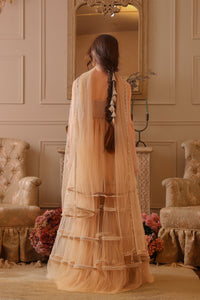 Naureen, The Light They Follow Sharara Set