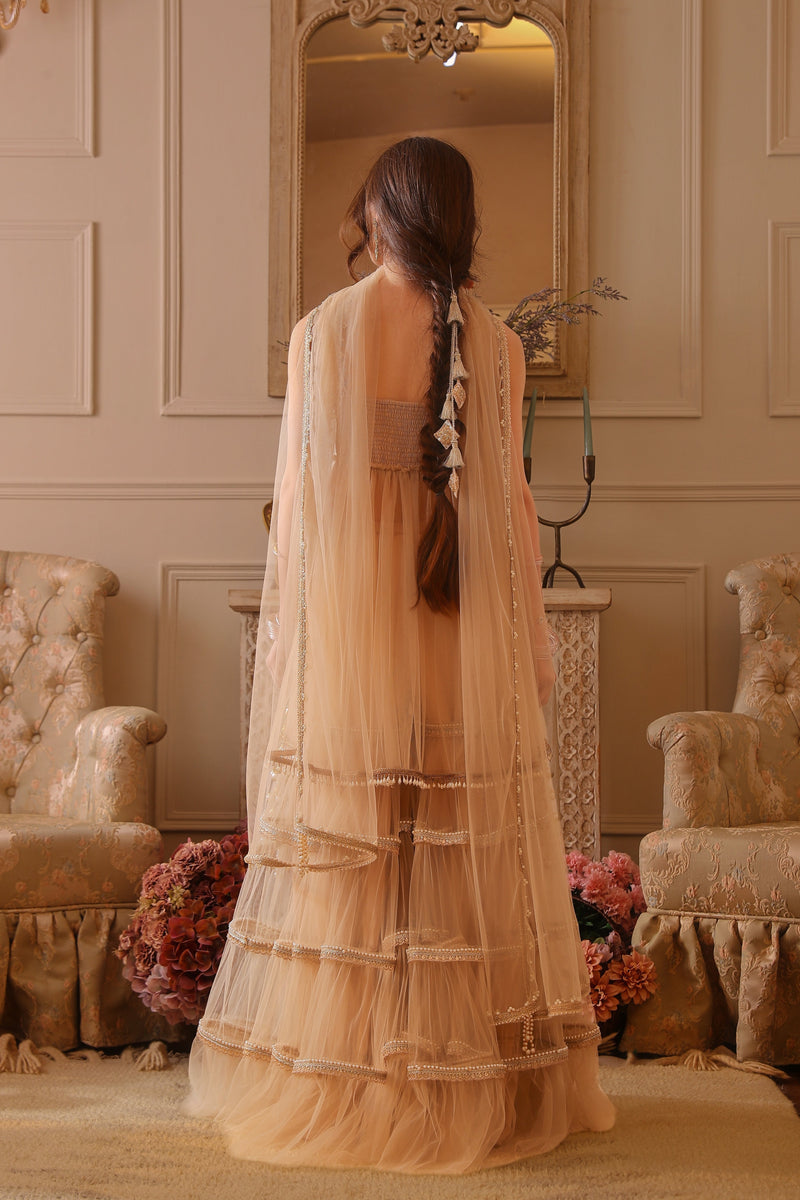 Naureen, The Light They Follow Sharara Set