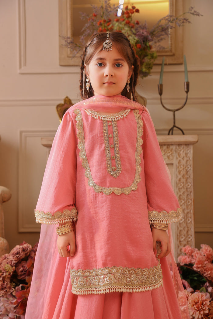 Sahiba Walks with Grace Lehenga Set