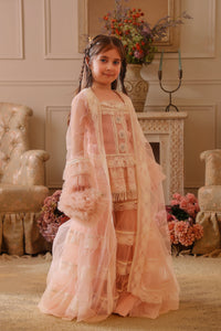 Laila Owns the Twirl Sharara Set