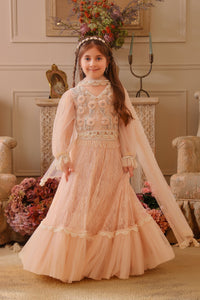 Ziya Lights the Way Lehenga Set