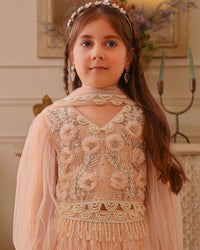 Ziya Lights the Way Lehenga Set