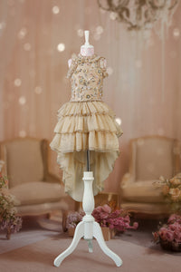 Zareen, The Golden Glow Dress