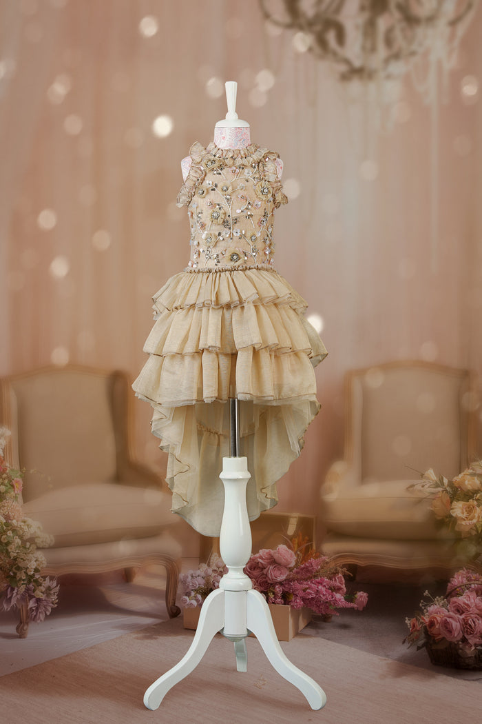 Zareen, The Golden Glow Dress