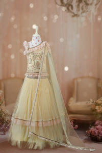 Amani Is the Dream Lehenga Set